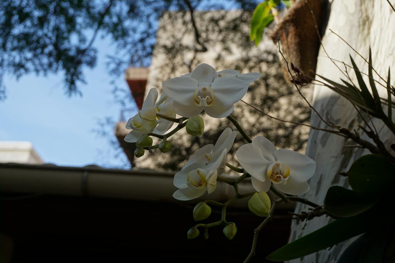 Pouso Da Garca Bed & Breakfast Cabo Frio Dış mekan fotoğraf
