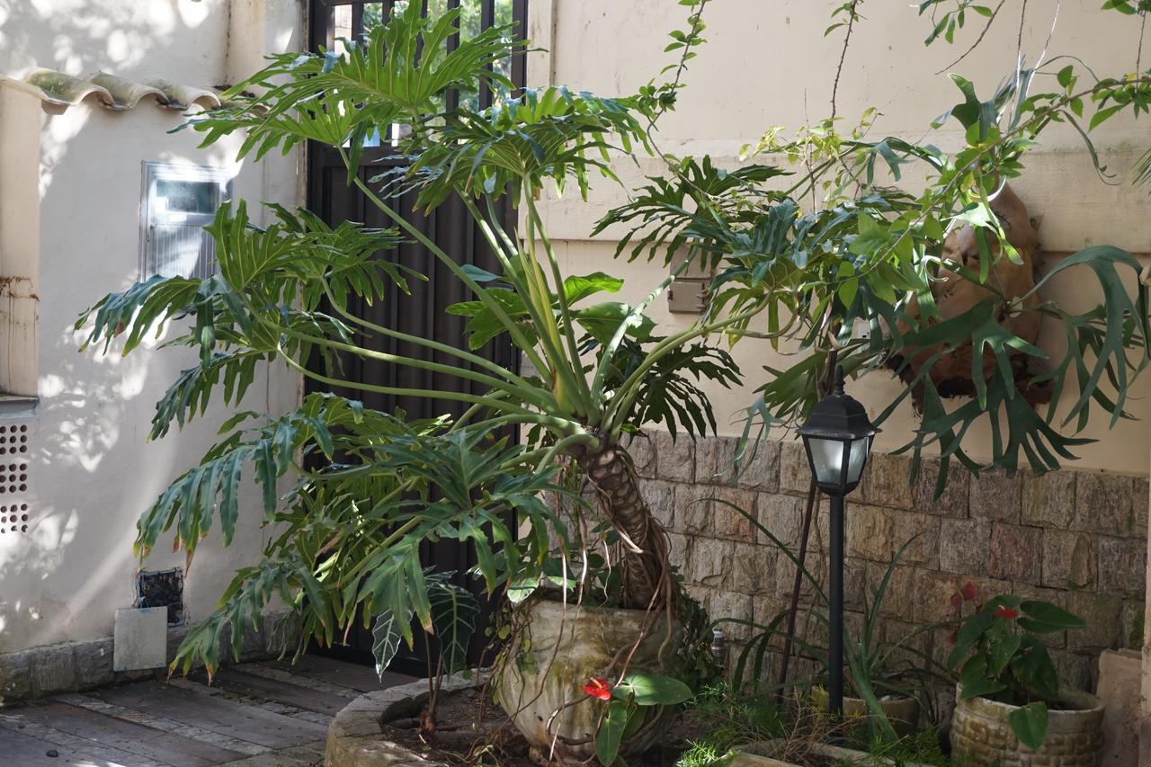 Pouso Da Garca Bed & Breakfast Cabo Frio Dış mekan fotoğraf